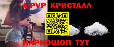 мяу мяу мука Кизилюрт