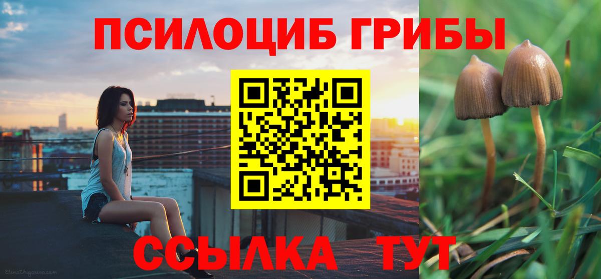Псилоцибиновые грибы MAGIC MUSHROOMS Нижнеудинск