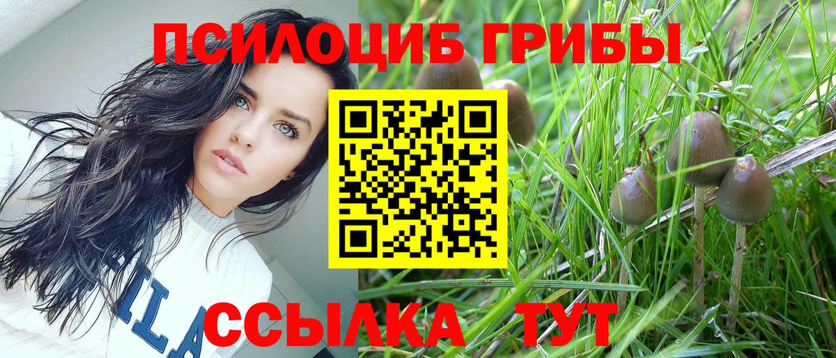 хочу наркоту  Вход с VPN  Псилоцибиновые грибы Magic Shrooms  Нижнеудинск  Галлюциногенные грибы Cubensis 